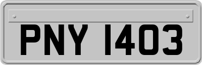 PNY1403
