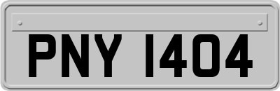 PNY1404