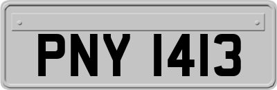 PNY1413