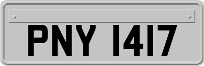 PNY1417