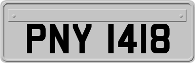 PNY1418