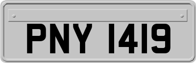 PNY1419