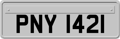PNY1421
