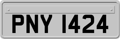 PNY1424