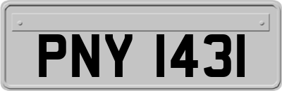 PNY1431
