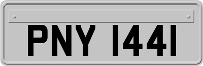 PNY1441