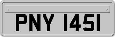 PNY1451