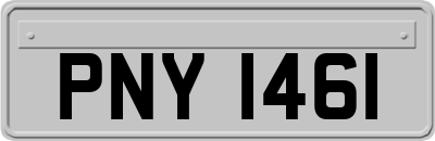 PNY1461