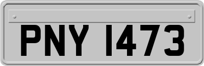 PNY1473