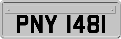 PNY1481