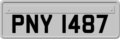 PNY1487