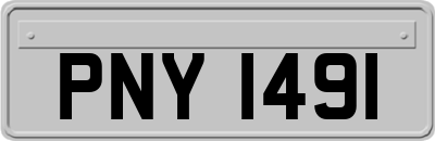 PNY1491