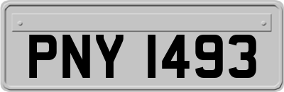 PNY1493
