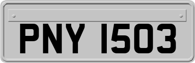 PNY1503