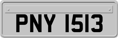PNY1513
