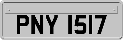 PNY1517