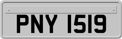 PNY1519