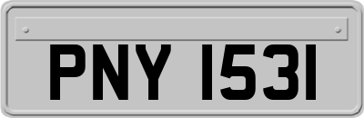 PNY1531