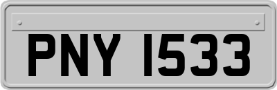 PNY1533