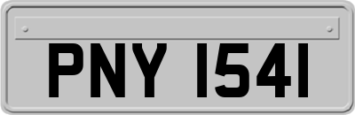 PNY1541