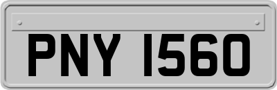 PNY1560