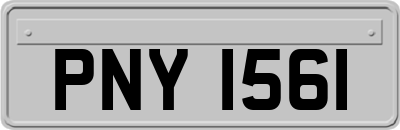 PNY1561