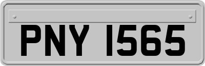 PNY1565