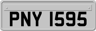 PNY1595
