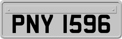 PNY1596