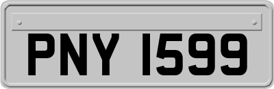PNY1599