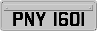 PNY1601