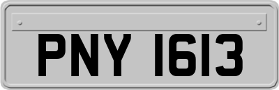 PNY1613
