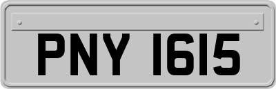 PNY1615
