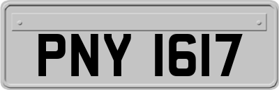 PNY1617