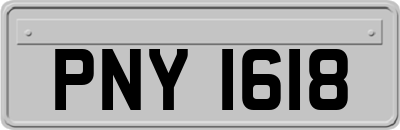 PNY1618