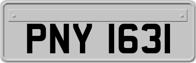 PNY1631
