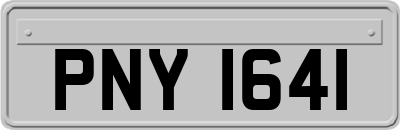 PNY1641