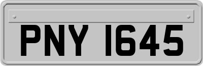 PNY1645