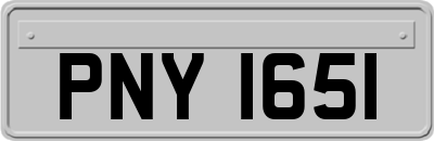 PNY1651