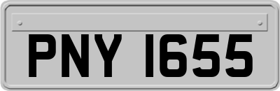 PNY1655