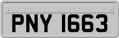 PNY1663