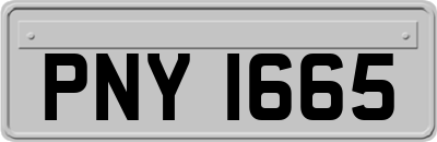 PNY1665