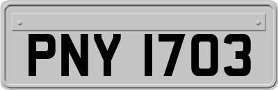 PNY1703