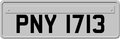 PNY1713