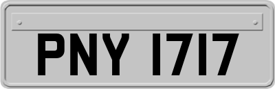 PNY1717