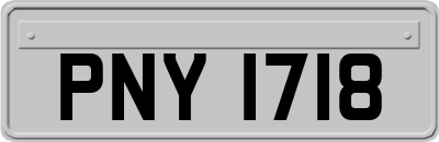 PNY1718