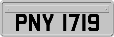 PNY1719