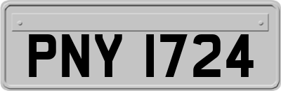 PNY1724