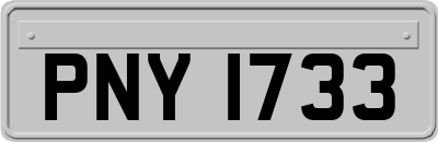 PNY1733