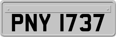 PNY1737